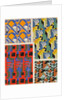 Plate from Kaleidoscope, ornements abstraits by Ad. Verneuil