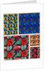 Plate from Kaleidoscope, ornements abstraits by Ad. Verneuil