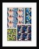 Plate from Kaleidoscope, ornements abstraits by Ad. Verneuil