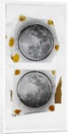 The moon by William Crookes