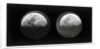 The moon by Warren De La Rue