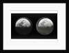 The moon by Warren De La Rue