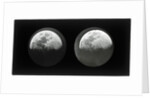The moon by Warren De La Rue