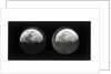 The moon by Warren De La Rue