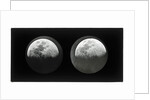 The moon by Warren De La Rue