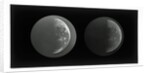 The moon by Warren De La Rue