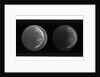 The moon by Warren De La Rue