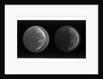 The moon by Warren De La Rue