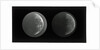 The moon by Warren De La Rue