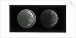 The moon by Warren De La Rue