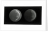 The moon by Warren De La Rue