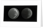 The moon by Warren De La Rue