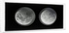 The moon by Warren De La Rue