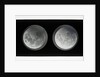The moon by Warren De La Rue