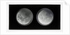 The moon by Warren De La Rue