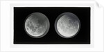 The moon by Warren De La Rue