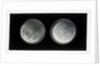 The moon by Warren De La Rue