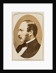 Prince Albert by John Jabez Edwin Mayall