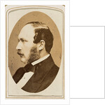 Prince Albert by John Jabez Edwin Mayall