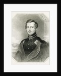 Prince Albert by James Posselwhite
