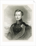 Prince Albert by James Posselwhite