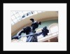The Ruddock Family Cast Court (Gallery 46A) by Anonymous