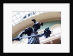 The Ruddock Family Cast Court (Gallery 46A) by Anonymous