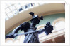 The Ruddock Family Cast Court (Gallery 46A) by Anonymous