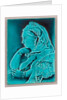 Blue glazed portrait tile of Queen Victoria. by Anonymous