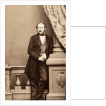 Prince Albert by John Jabez Edwin Mayall