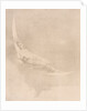 Pencil drawing by Charles Prosper Sainton