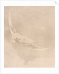 Pencil drawing by Charles Prosper Sainton