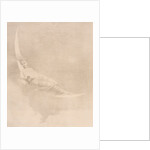 Pencil drawing by Charles Prosper Sainton
