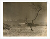 Surrey Tavern (in Trinity Road) Wandsworth Common, ground covered with Snow by Paul Martin