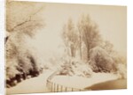 Snowfall in March, in Battersea Park by Paul Martin