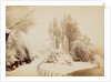 Snowfall in March, in Battersea Park by Paul Martin
