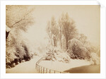 Snowfall in March, in Battersea Park by Paul Martin