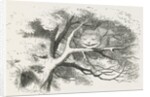 Wood-engraved illustration by Dalziel Brothers