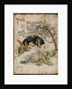 Front cover of The Nursery Alice by Emily Gertrude Thomson