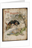 Front cover of The Nursery Alice by Emily Gertrude Thomson