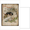 Front cover of The Nursery Alice by Emily Gertrude Thomson