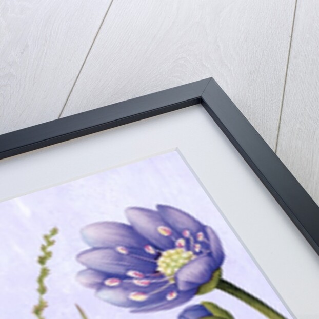 Woodland colors by YU.ME