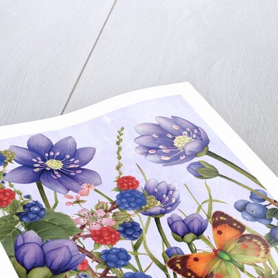 Woodland colors by YU.ME