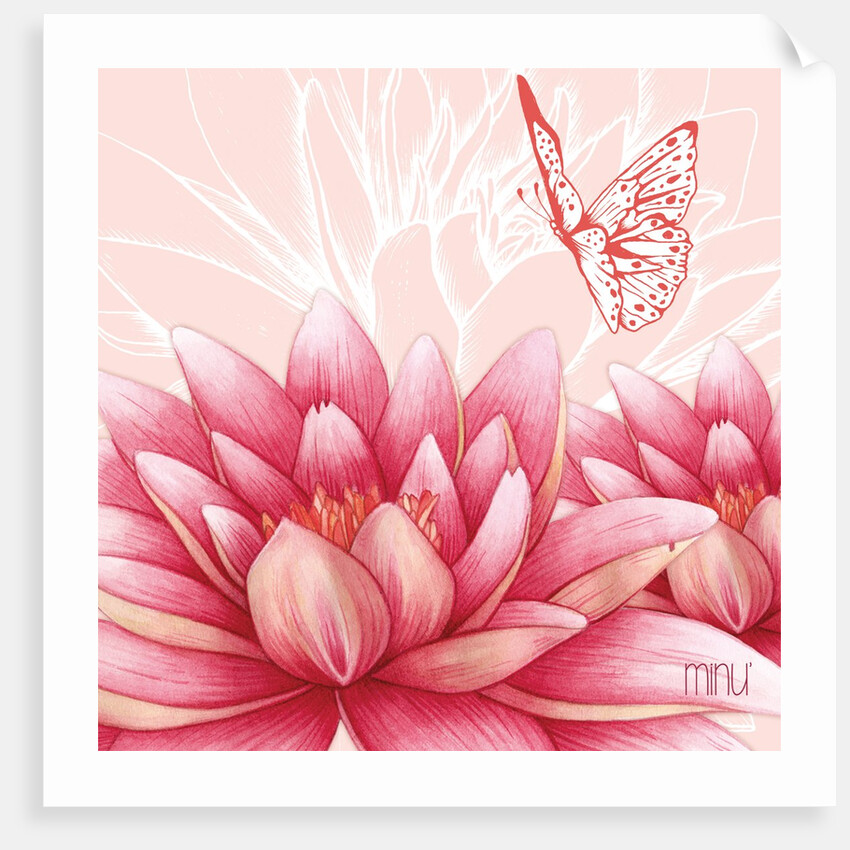 Lotus flower zoom by YU.ME